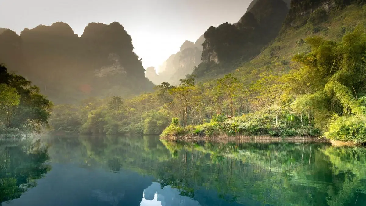 精密电子高端